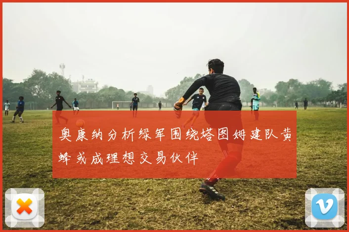 奥康纳分析绿军围绕塔图姆建队黄蜂或成理想交易伙伴